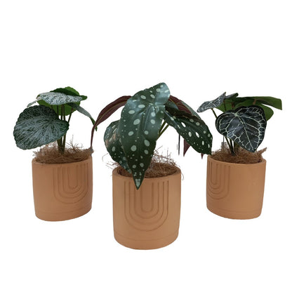 Cool Gift, Artificial Plants Potted #560