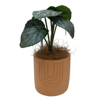 Cool Gift, Artificial Plants Potted #560