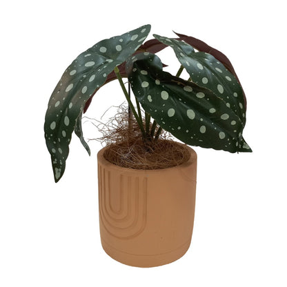 Cool Gift, Artificial Plants Potted #560