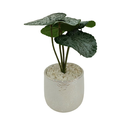 Cool Gift, Artificial Plants Potted #569