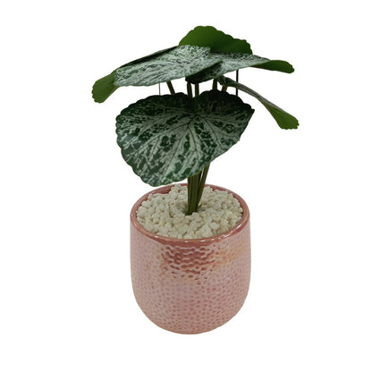 Cool Gift, Artificial Plants Potted #569