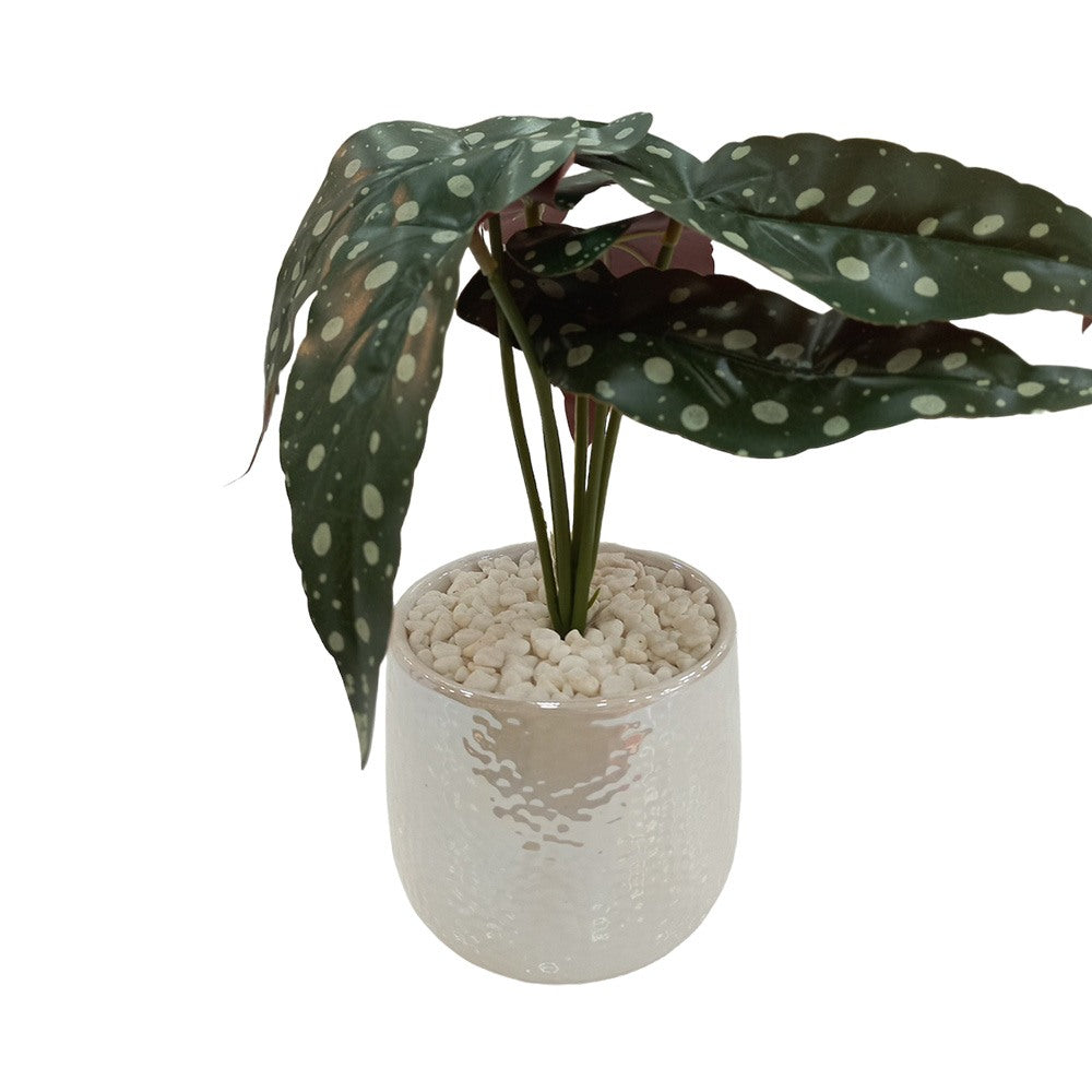 Cool Gift, Artificial Plants Potted #569