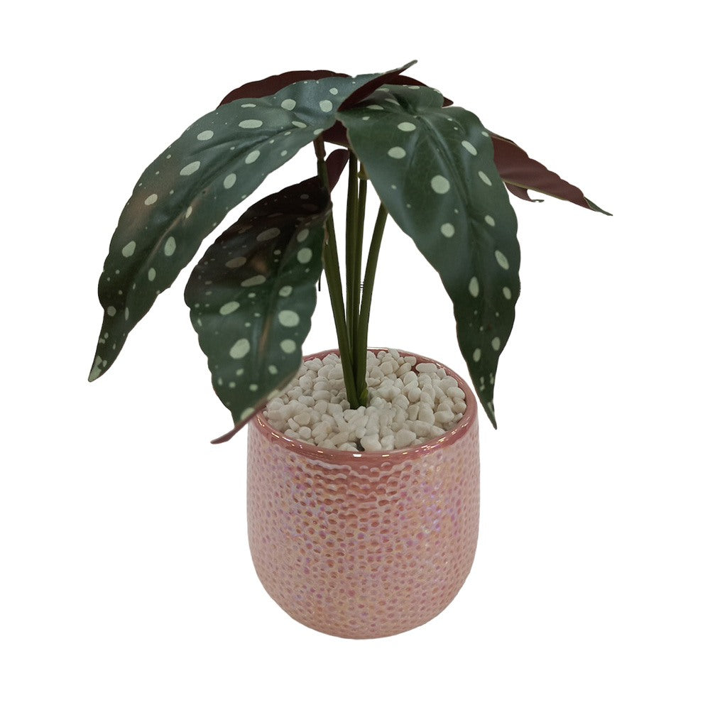 Cool Gift, Artificial Plants Potted #569
