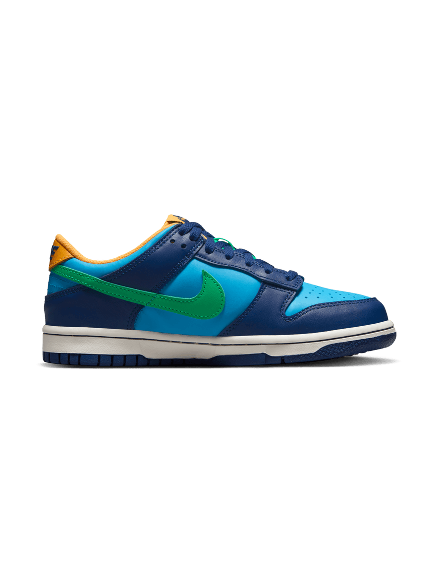 NIKE DUNK LOWÃ‚Â  (GS)