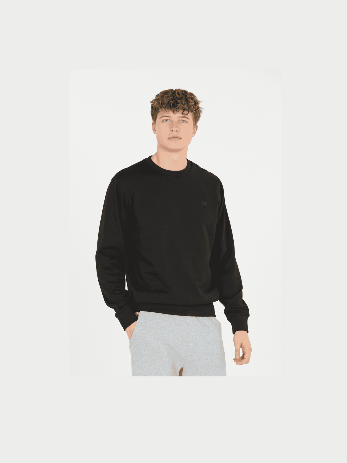 CRUZ FULTAN M SWEAT CREW NECK