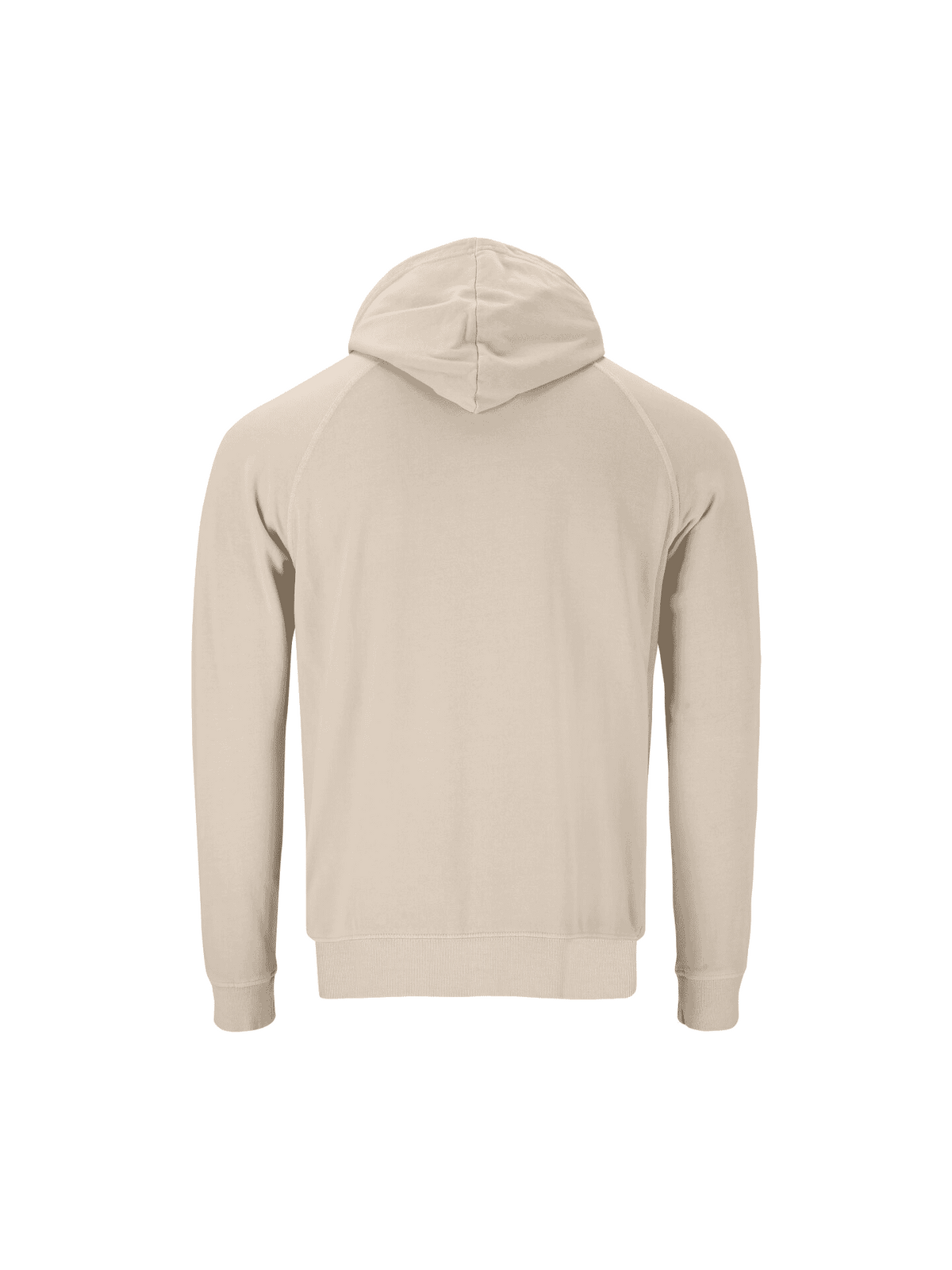 VIRTUS BOLD M HOODY