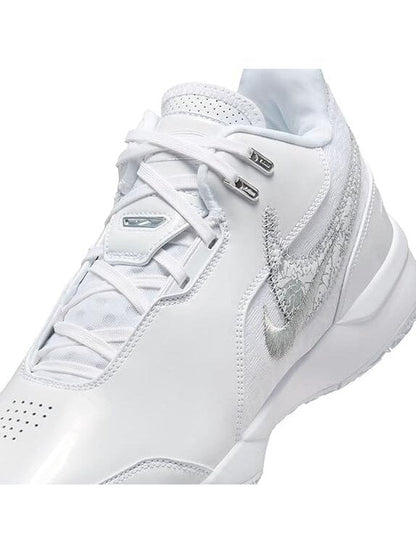 NIKE ZOOM LEBRON NXXT GEN AMPD