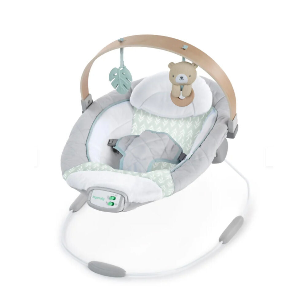 Ingenuity Soothing Bouncer Cozy Spot, 13104