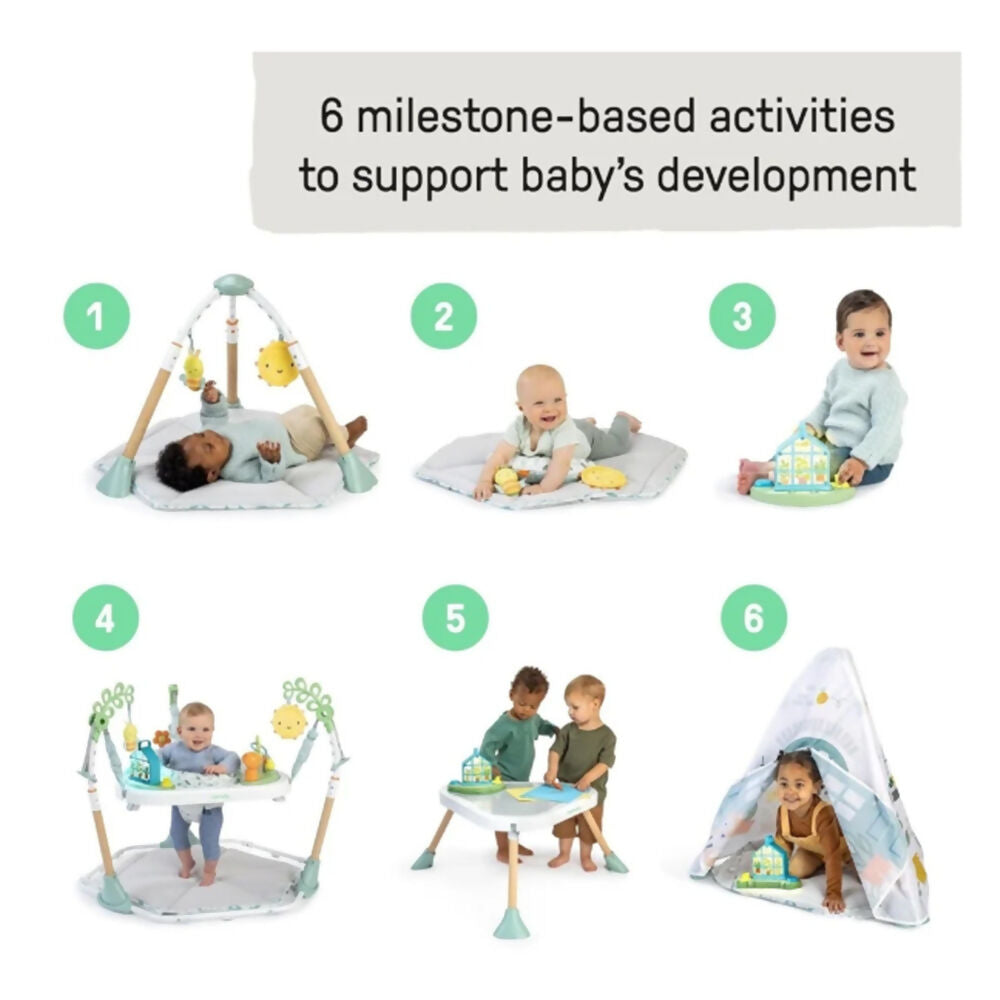 Ingenuity Tummy To Toes Activity Ctr, 16904-000-EWS-01-R