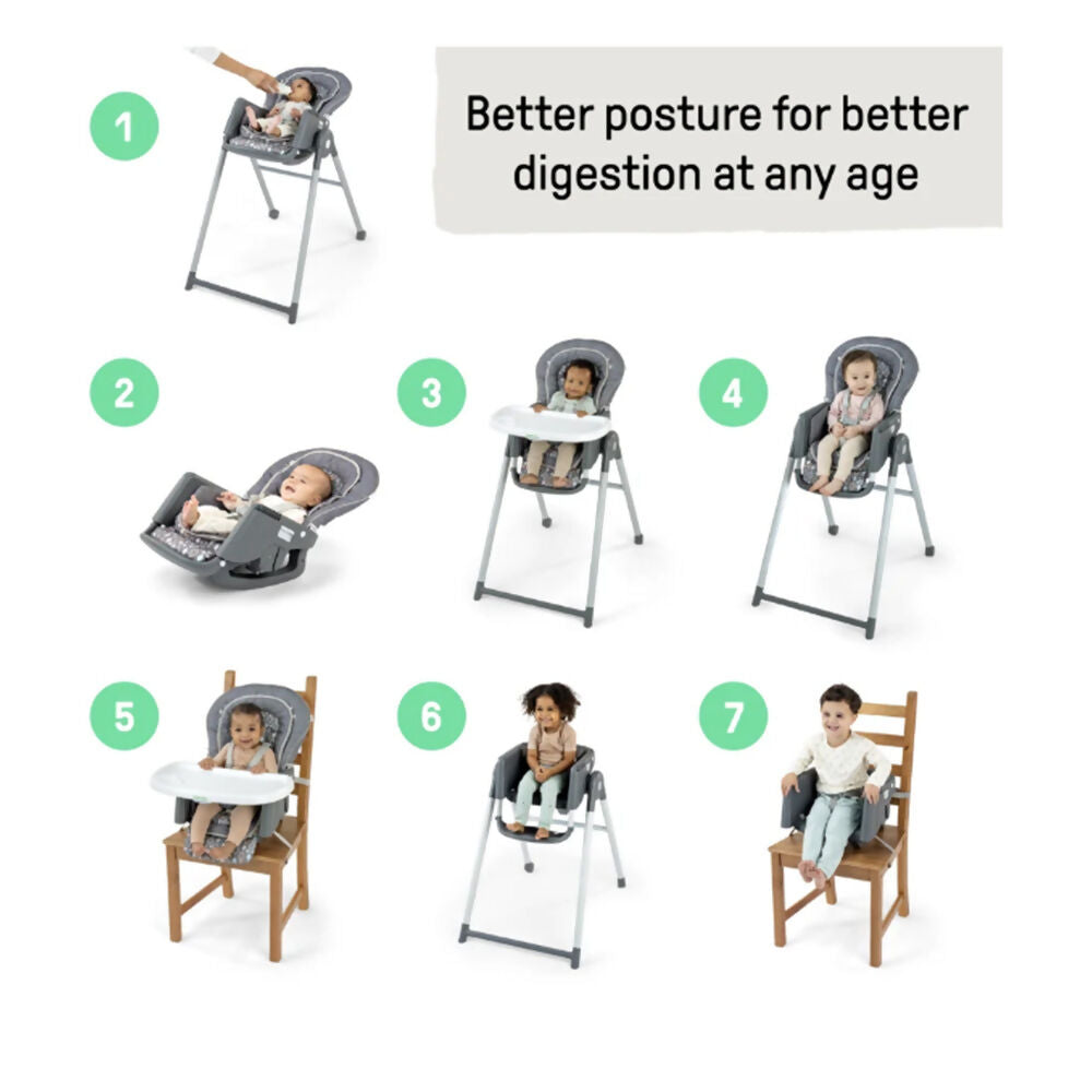 Baby Einstein Ing Proper Positioner HC: Parker, 16792