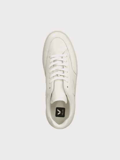VEJA V 12