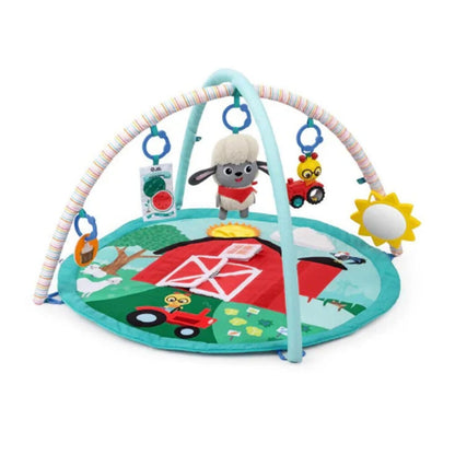 Baby Einstein Happy Harvest Touch & Feel Gym, 17326