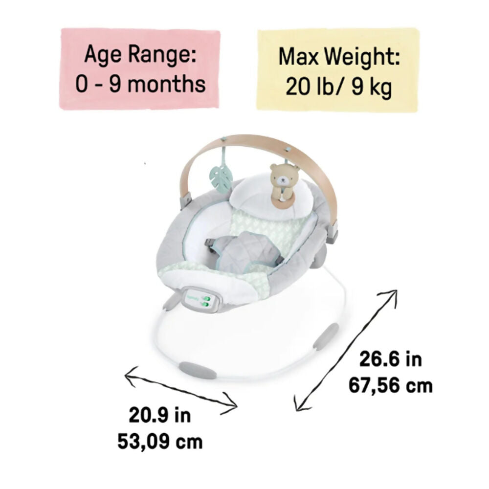Ingenuity Soothing Bouncer Cozy Spot, 13104