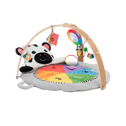 Baby Einstein Zens_Activity Milestones Plush Gym, 16636