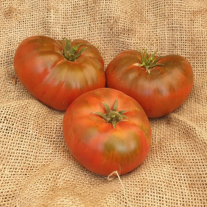 Seed Bound, Hybrid Tomato Seeds, Available in Different Colors