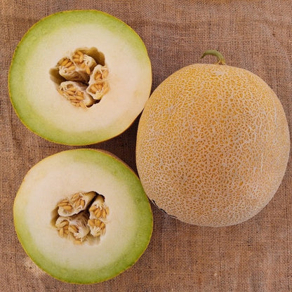 Seed Bound, Hybrid Melon Seeds, Available in Different Colors