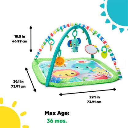 Brightstar Wild Rainforest Foldaway Gym, 17325-000-000-01-R