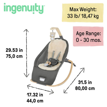 Ingenuity Every Season Rocking Seat Wesley, 16855