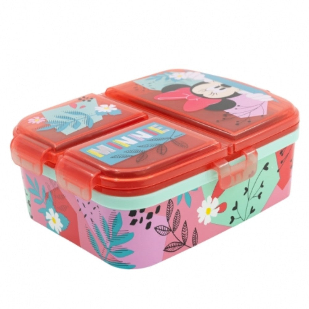 Stor, Xl Multi Compartment Rectangular Sandwich Box Frozen Trust The Journey, Available In Different Models