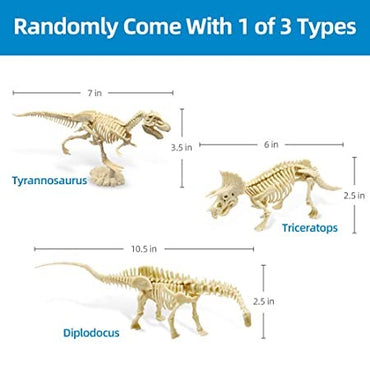 Generic, Glow In The Dark Dinosaur Excavation Kit
