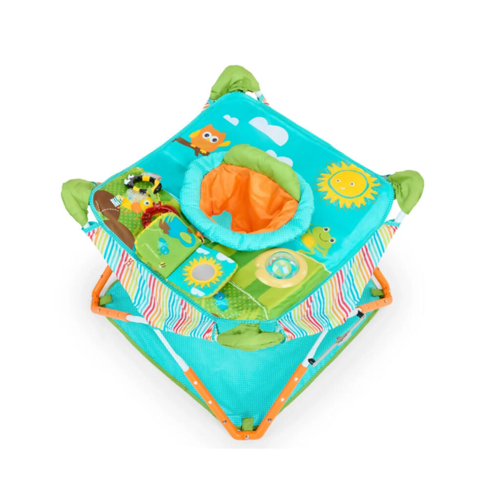 Bright Starts Pop N Jump Activity Ctr Fashion Owl, 17247-040-000-01-R