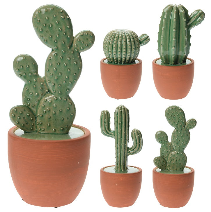 Itemz, Decorative Cactus In Pottery Planter Small 14-21 Cm