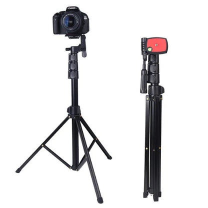 Jmary Professional Tripod Kp-2206
