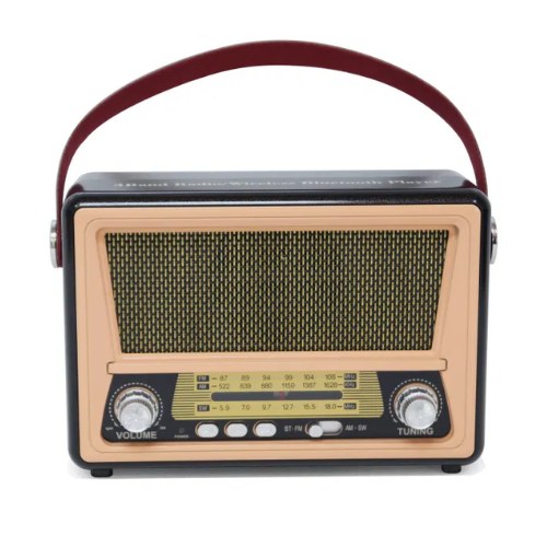 Multi Functional Portable Radio With Bluetooth M-553Bt