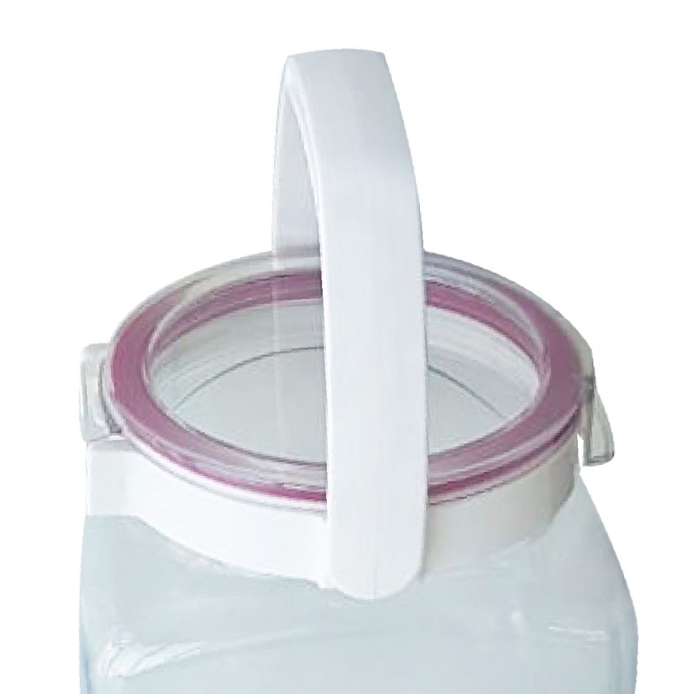 Fresh Look Airtight Plastic Canister, Fuchsia Joints 3850 Ml