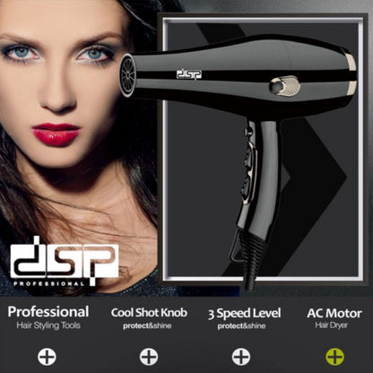 DSP, Electric Hair Dryer, 2200 Watt, KC-30088, 2 spend &3 heat settings, Ac motor