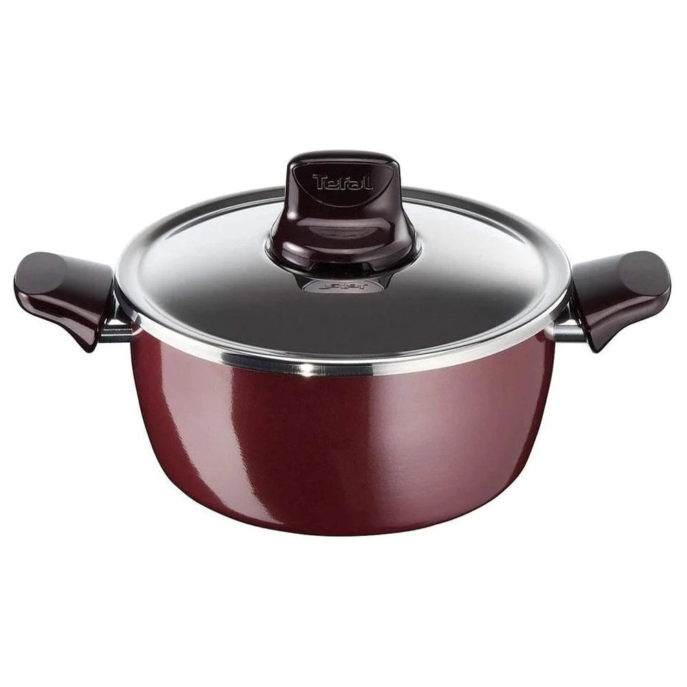 Tefal, Pleasure - Stewpan 22 cm+LID, TEF-D5024562
