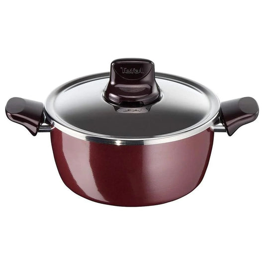 Tefal, Pleasure - Stewpan 22 cm+LID, TEF-D5024562