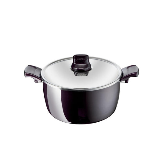 Tefal, Resist Intense - Stewpot 24cm + Glass LID, TEF-D5224682