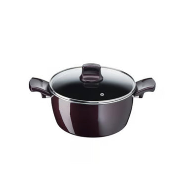 Tefal, Resist Intense - Stewpot 24cm + Glass LID, TEF-D5224682