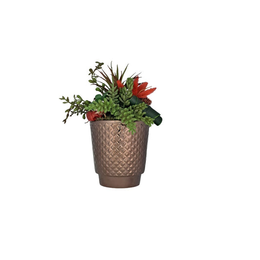 Sukulent, Vase Sukulent Plant Bronze, Tur-956796