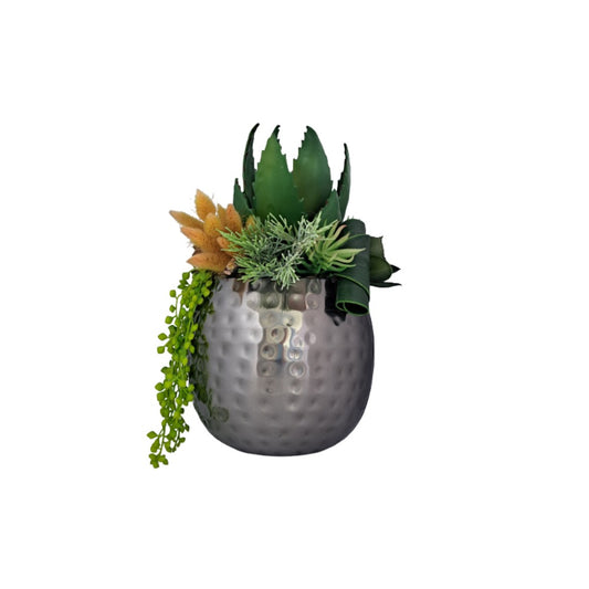 Sukulent, Vase Sukulent Plant Big Silver Vase, Tur-Is164041A