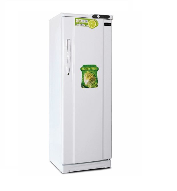 Concord Vertical Freezer