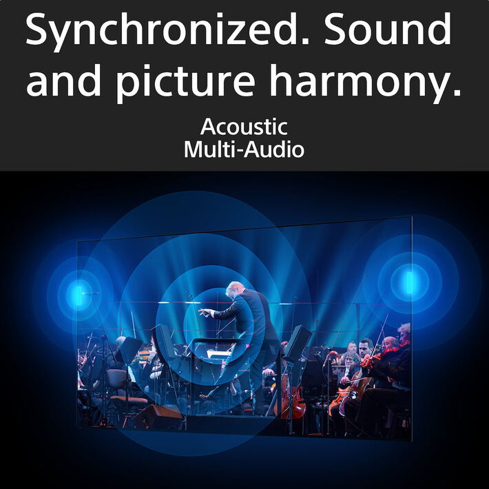 Sony, Led 75' 4K Full Array Led With Smart Google