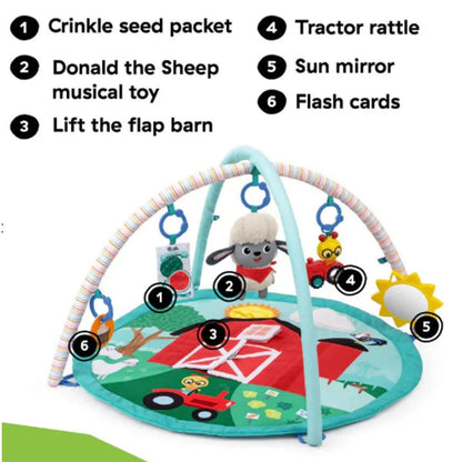 Baby Einstein Happy Harvest Touch & Feel Gym, 17326