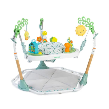 Ingenuity Tummy To Toes Activity Ctr, 16904-000-EWS-01-R