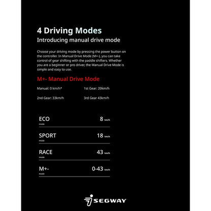 Segway Zt3 Pro E Electric Scooter