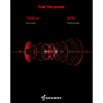 Segway Zt3 Pro E Electric Scooter